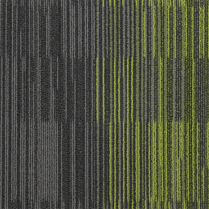 City Blocks Sq Salad Accent