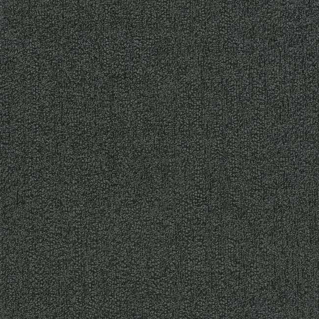 Fairly Solid Sq Bulldog Grey