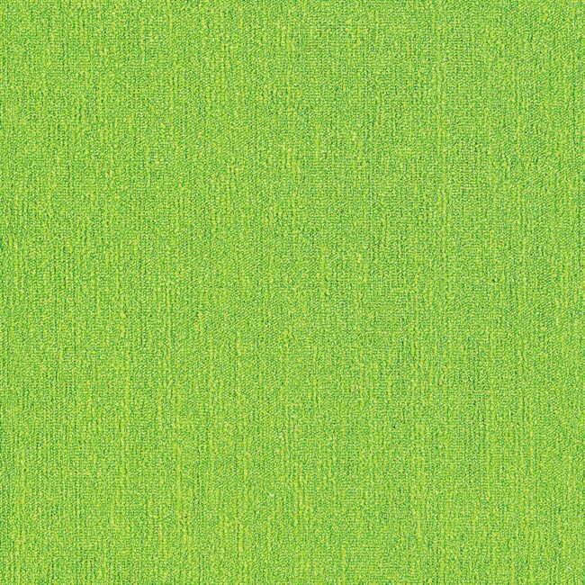 Fairly Solid Sq Lime Fizz