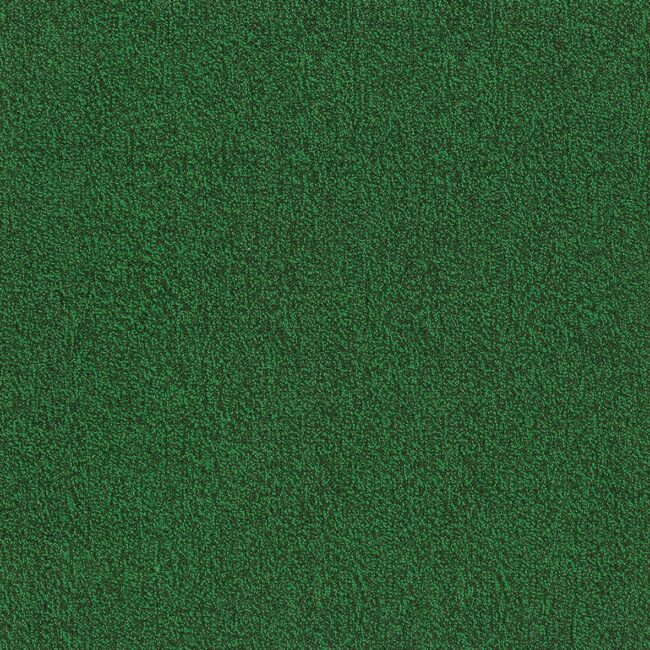 Fairly Solid Sq Spruce