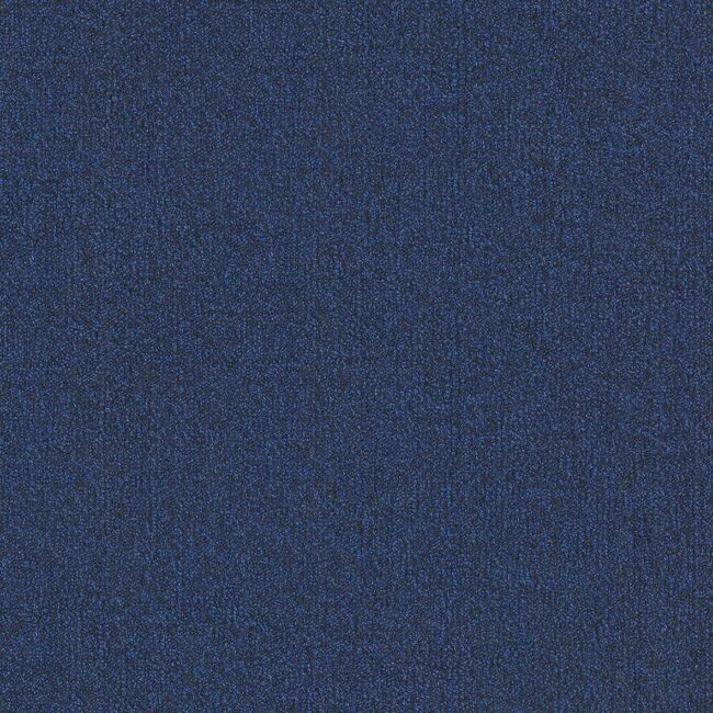 Fairly Solid Sq Casa Navy