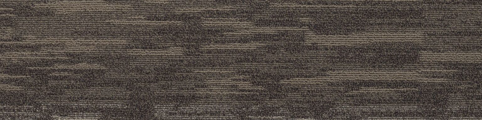 Staggered Plank Oyster Shell