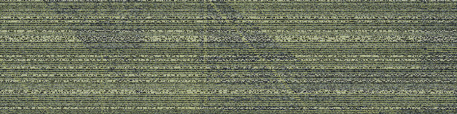 Facet Plank Turtle Green