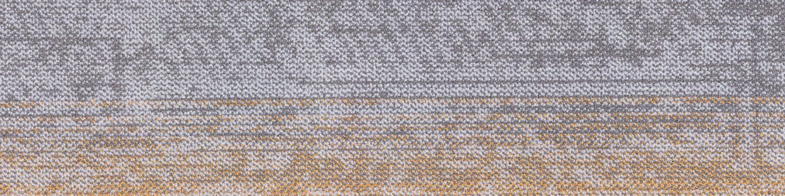 Mesh System Plank Orange Data